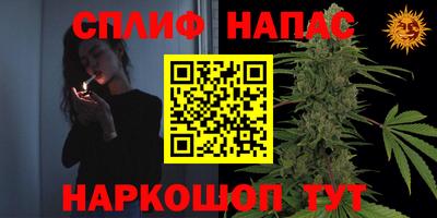 бошки Славянск-на-Кубани