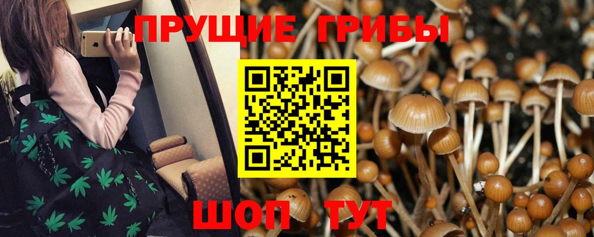 Орёл  Псилоцибиновые грибы мицелий  Вход с VPN 