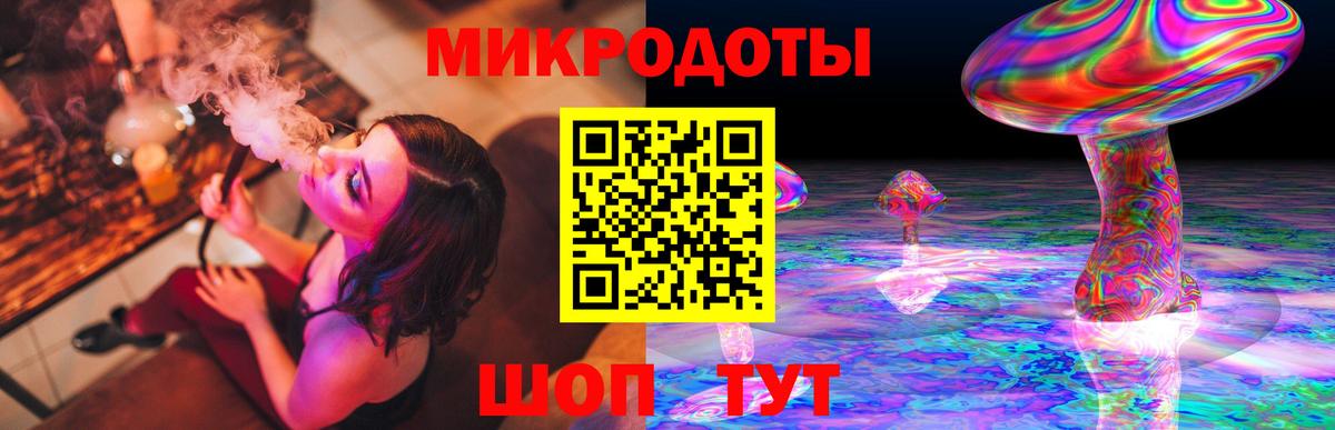 Псилоцибиновые грибы Psilocybe Орёл
